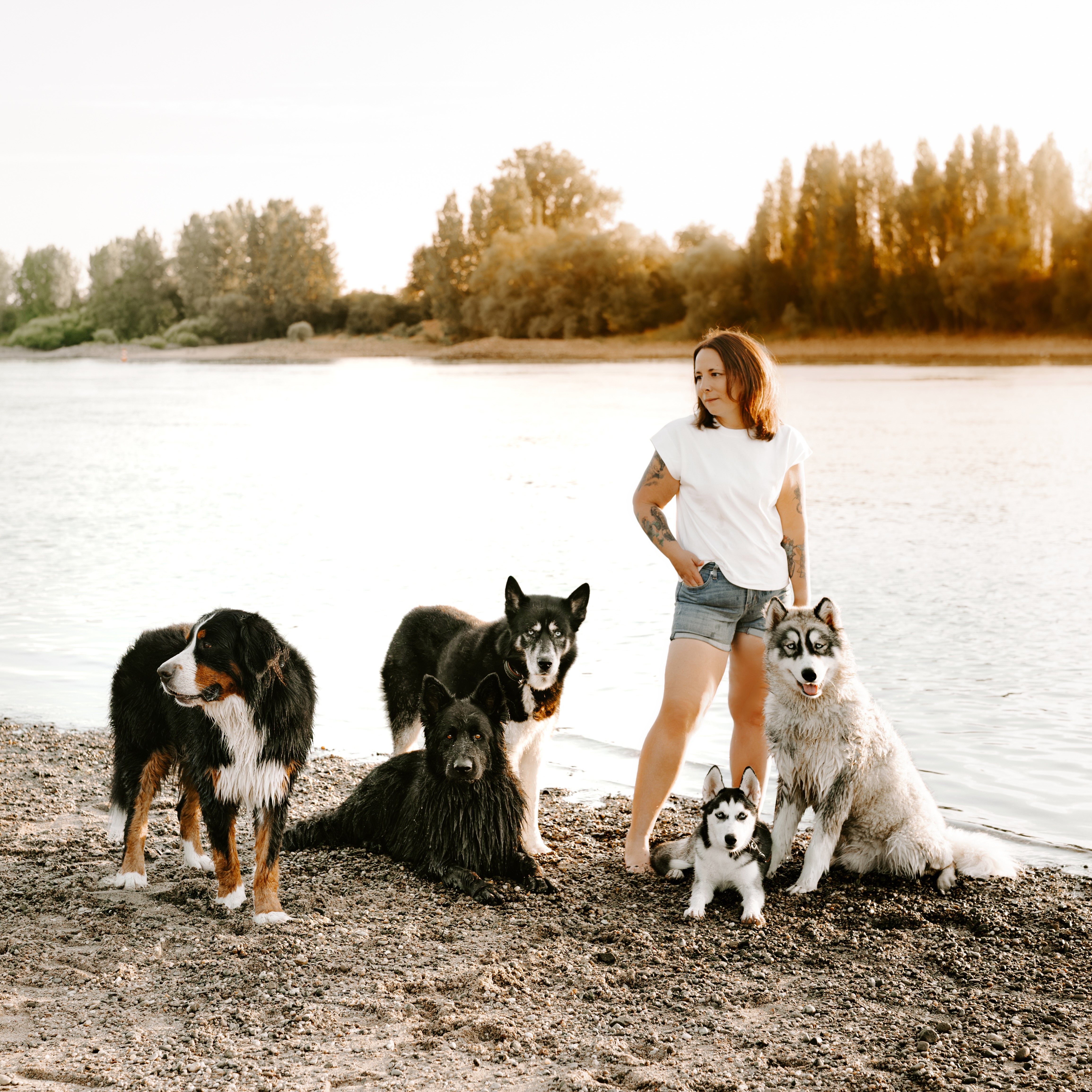 Carina mit ihren fünf Hunden